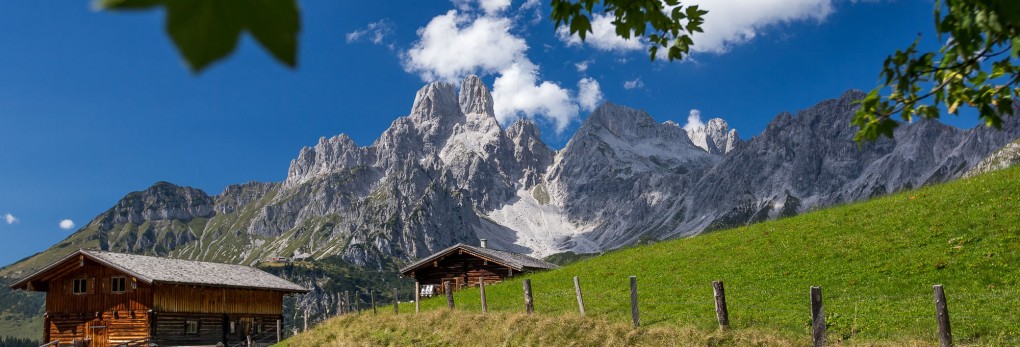 Grüne Almlandschaft mit Blick auf die Bischofsmütze @ Coen Weesjes